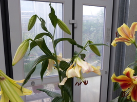 Foto: Dr. Peter Müller